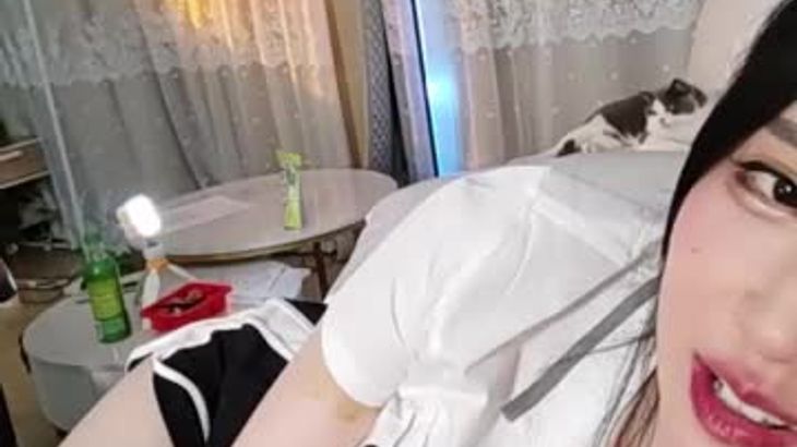 [轩子巨二兔]特殊视脚助眠合集 51